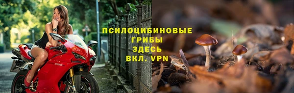 мяу мяу мука Баксан