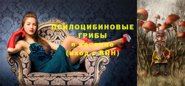мяу мяу мука Баксан