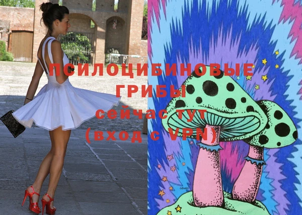 мяу мяу мука Баксан
