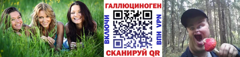 Купить где  Лахденпохья  Галлюциногенные грибы Magic Shrooms 